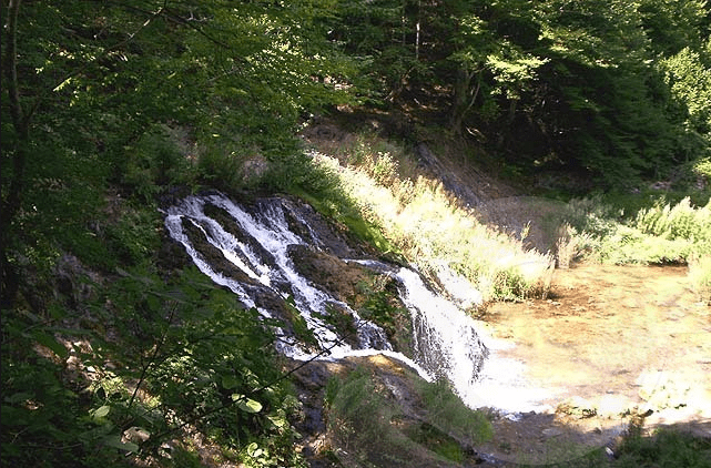 Strandja Spring