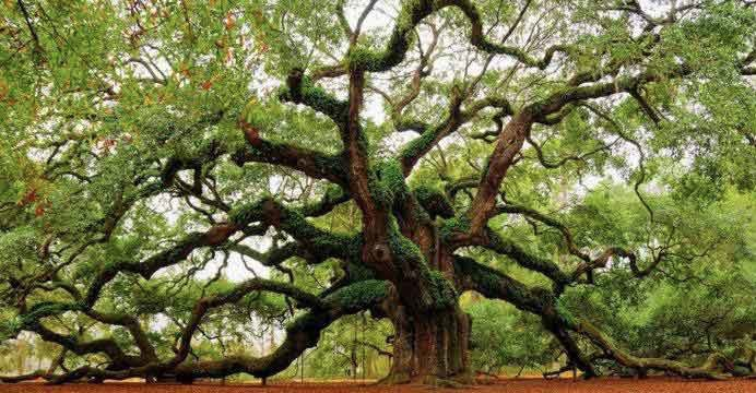 Screen Shot 2018-12-10 at 11.38.52 PM